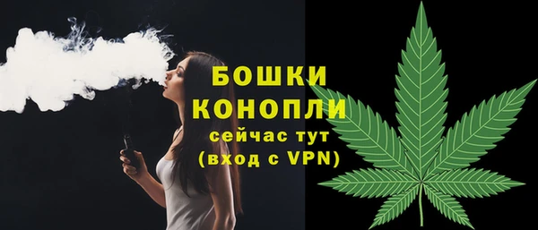 скорость Чекалин