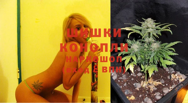 МДПВ Чегем