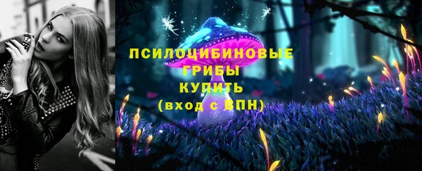 ешки Чердынь