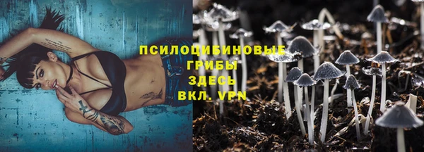 МДПВ Чегем