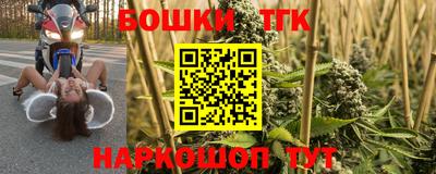 стаф Краснодар