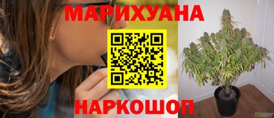 стаф Краснодар