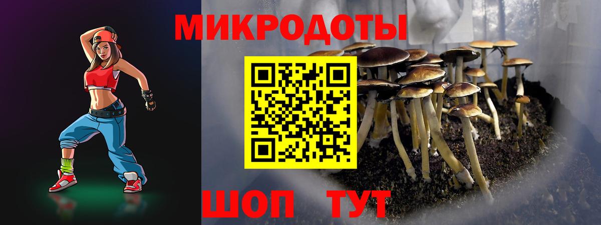 Галлюциногенные грибы прущие грибы  Галлюциногенные грибы прущие грибы  Шарыпово  Вход с VPN 